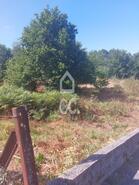 Terreno R�stico T0 - Boa Aldeia, Viseu, Viseu - Miniatura: 3/5