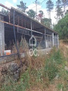 Terreno R�stico T0 - Ranhados, Viseu, Viseu - Miniatura: 4/11