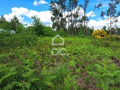 Terreno Rstico T0 - Campo, Viseu, Viseu - Miniatura: 5/9