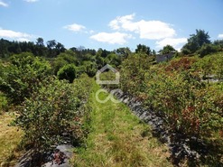 Quinta T0 - Viseu, Viseu, Viseu - Miniatura: 15/37