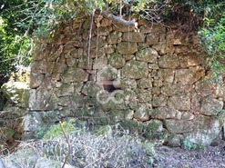 Quinta T0 - Viseu, Viseu, Viseu - Miniatura: 20/37
