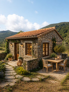 Ruina T0 - Fornelo do Monte, Vouzela, Viseu - Miniatura: 1/16