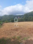 Ruina T0 - Fornelo do Monte, Vouzela, Viseu - Miniatura: 10/16