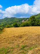 Ruina T0 - Fornelo do Monte, Vouzela, Viseu - Miniatura: 11/16