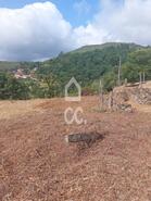 Ruina T0 - Fornelo do Monte, Vouzela, Viseu - Miniatura: 14/16