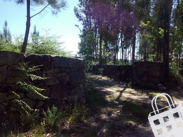 Terreno R�stico T0 - Carvalhais, S�o Pedro do Sul, Viseu - Imagem grande
