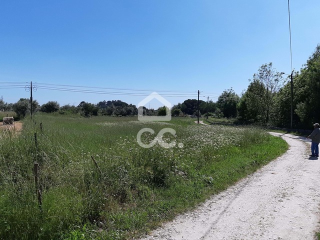 Terreno R�stico T0 - Canas de Senhorim, Nelas, Viseu - Imagem grande