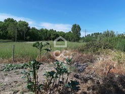 Terreno R�stico T0 - Canas de Senhorim, Nelas, Viseu - Miniatura: 5/7
