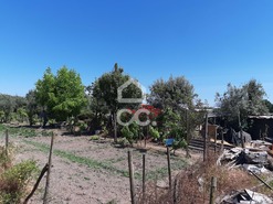 Terreno R�stico T0 - Canas de Senhorim, Nelas, Viseu - Miniatura: 6/7
