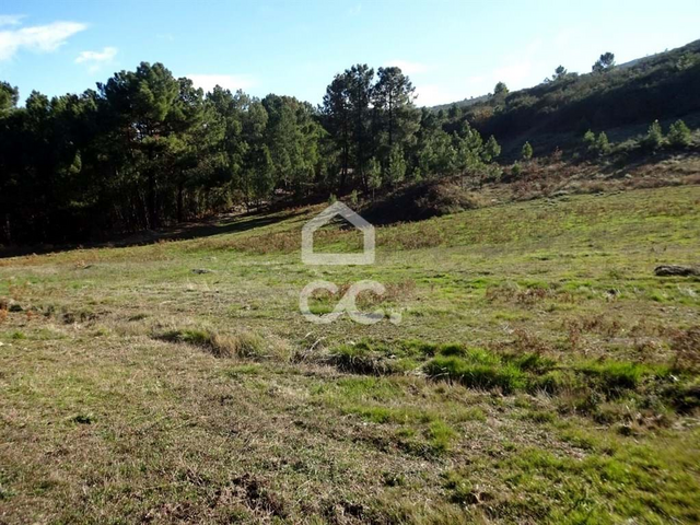 Terreno R�stico T0 - S�o Jo�o da Fresta, Mangualde, Viseu - Imagem grande