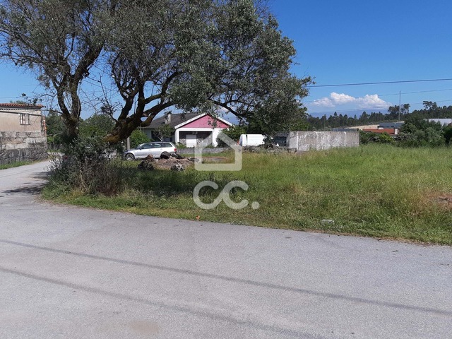 Terreno R�stico T0 - Canas de Senhorim, Nelas, Viseu - Imagem grande