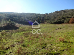 Terreno R�stico T0 - S�o Jo�o da Fresta, Mangualde, Viseu - Miniatura: 1/7
