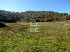 Terreno R�stico T0 - S�o Jo�o da Fresta, Mangualde, Viseu - Miniatura: 2/7
