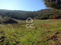 Terreno R�stico T0 - S�o Jo�o da Fresta, Mangualde, Viseu - Miniatura: 3/7