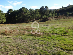 Terreno R�stico T0 - S�o Jo�o da Fresta, Mangualde, Viseu - Miniatura: 5/7