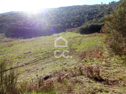 Terreno R�stico T0 - S�o Jo�o da Fresta, Mangualde, Viseu - Miniatura: 6/7