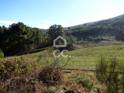 Terreno R�stico T0 - S�o Jo�o da Fresta, Mangualde, Viseu - Miniatura: 7/7