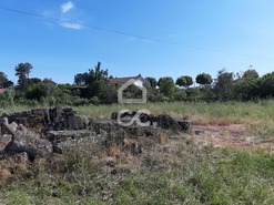 Terreno R�stico T0 - Canas de Senhorim, Nelas, Viseu - Miniatura: 2/3
