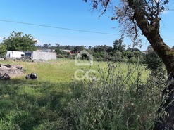 Terreno R�stico T0 - Canas de Senhorim, Nelas, Viseu - Miniatura: 3/3