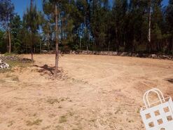 Terreno R�stico T0 - Carvalhais, S�o Pedro do Sul, Viseu - Miniatura: 6/7