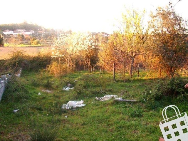 Terreno Rstico T0 - Fal e Vila Ch de S, Fundo, Castelo Branco - Imagem grande
