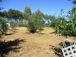 Terreno R�stico T0 - Campo, Viseu, Viseu