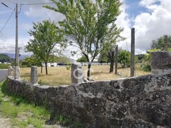 Terreno Rstico T0 - So Vicente de Lafes, Oliveira de Frades, Viseu - Miniatura: 2/9