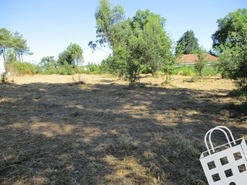 Terreno R�stico T0 - Campo, Viseu, Viseu - Miniatura: 2/8