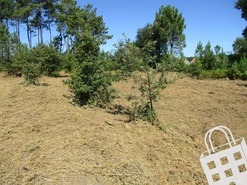 Terreno R�stico T0 - Campo, Viseu, Viseu - Miniatura: 3/8
