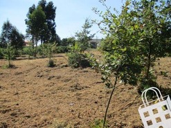 Terreno R�stico T0 - Campo, Viseu, Viseu - Miniatura: 5/8