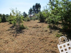 Terreno R�stico T0 - Campo, Viseu, Viseu - Miniatura: 7/8