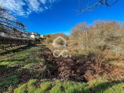 Terreno R�stico T0 - Boa Aldeia, Viseu, Viseu - Miniatura: 2/10