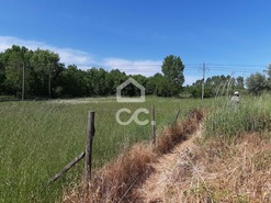Terreno R�stico T0 - Canas de Senhorim, Nelas, Viseu - Miniatura: 2/7