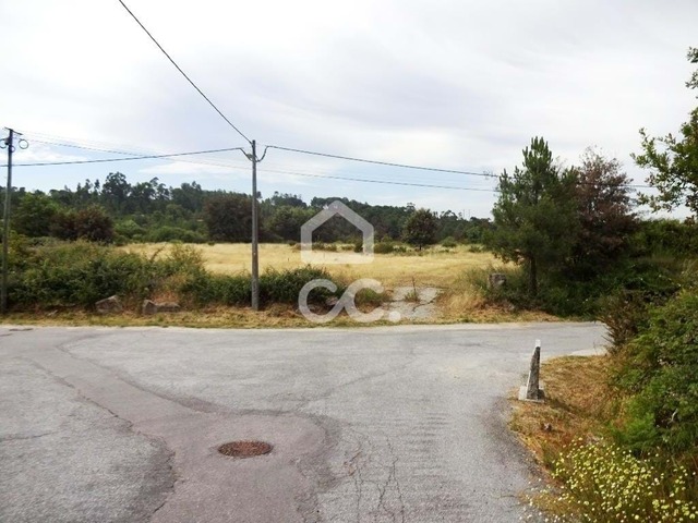 Terreno R�stico T0 - Repeses e S�o Salvador, Fund�o, Castelo Branco - Imagem grande