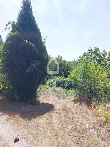 Terreno R�stico T0 - Queir�, Vouzela, Viseu - Imagem grande