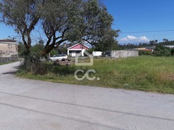 Terreno R�stico T0 - Canas de Senhorim, Nelas, Viseu