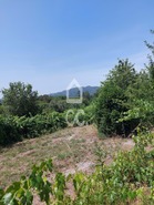 Terreno R�stico T0 - Queir�, Vouzela, Viseu - Miniatura: 15/22