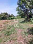 Terreno R�stico T0 - Queir�, Vouzela, Viseu - Miniatura: 16/22