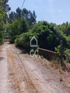 Terreno R�stico T0 - Queir�, Vouzela, Viseu - Miniatura: 17/22