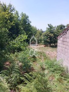 Terreno R�stico T0 - Queir�, Vouzela, Viseu - Miniatura: 18/22
