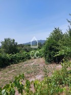 Terreno R�stico T0 - Queir�, Vouzela, Viseu - Miniatura: 19/22