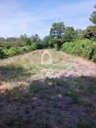 Terreno R�stico T0 - Queir�, Vouzela, Viseu - Miniatura: 20/22