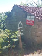 Terreno R�stico T0 - Queir�, Vouzela, Viseu - Miniatura: 21/22