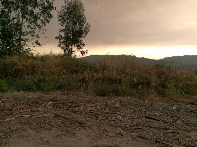 Terreno Rústico - Vila Cova, Penafiel, Porto - Imagem grande