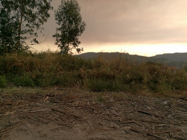 Terreno Rstico - Vila Cova, Penafiel, Porto - Imagem grande