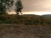 Terreno R�stico - Vila Cova, Penafiel, Porto