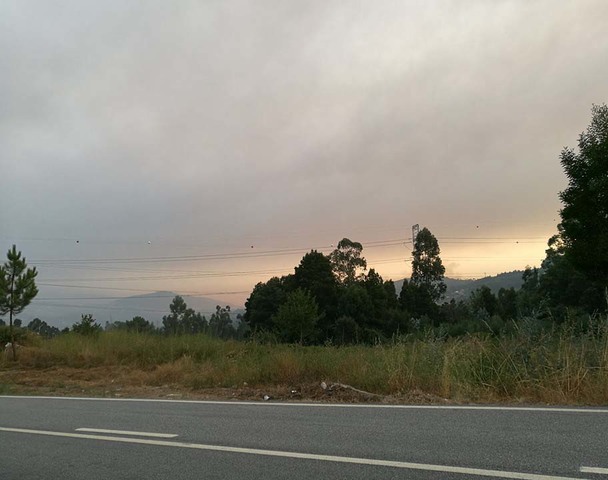 Terreno Rstico - Vila Cova, Penafiel, Porto - Imagem grande