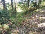 Terreno R�stico - Luzim, Penafiel, Porto