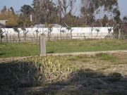 Terreno R�stico - Recezinhos, Penafiel, Porto - Miniatura: 4/10