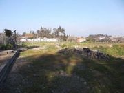 Terreno R�stico - Recezinhos, Penafiel, Porto - Miniatura: 7/10